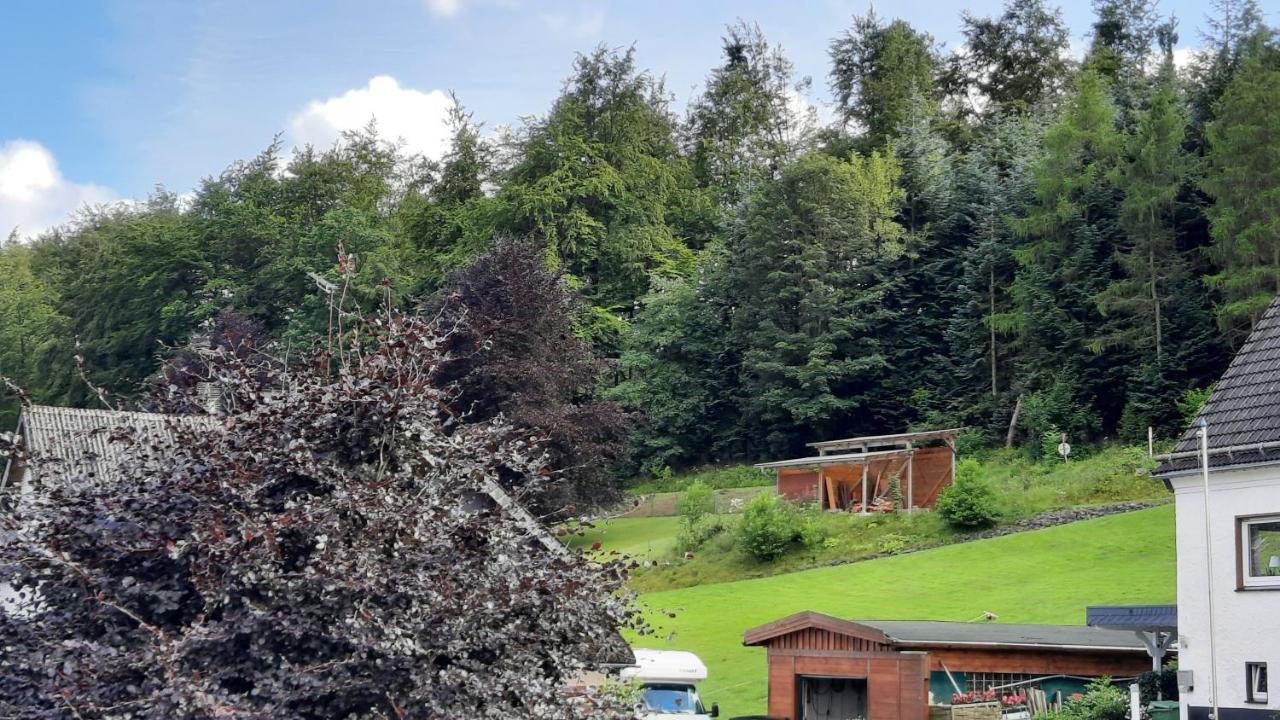 Yalet Ferienhaus 2 Appartementen Vlakbij Willingen Brilon-Wald Extérieur photo